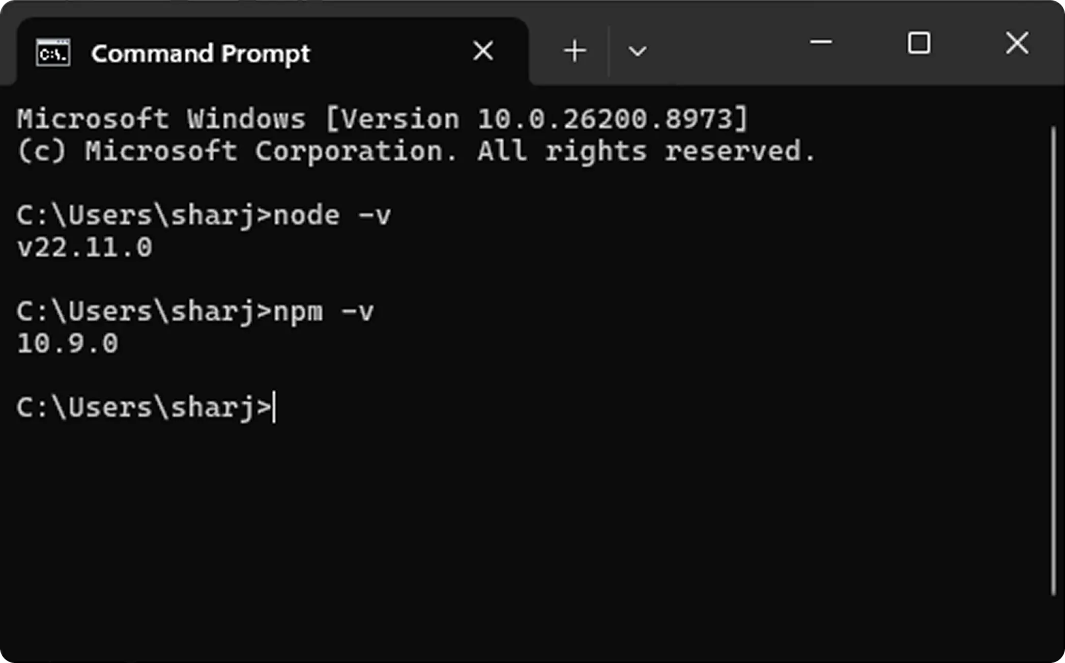 Verify Node.js and npm in VS Code terminal for vibe coding